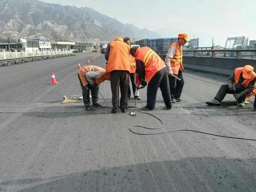 播州道路桥梁病害治理